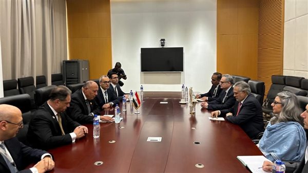  شكري يلتقي بوزير