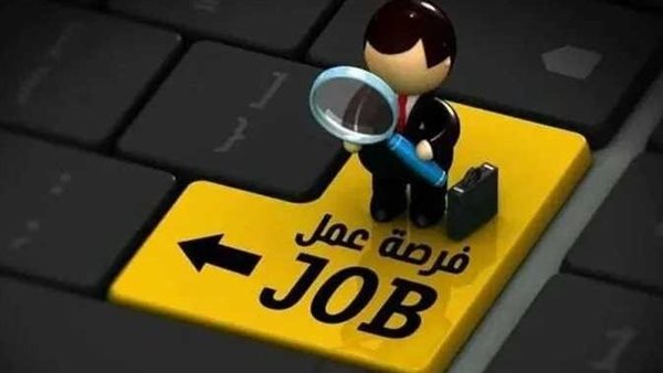 وظائف وزارة الشباب