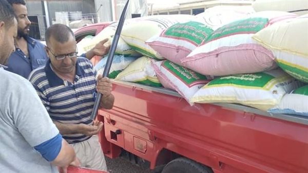 توريد محصول القمح