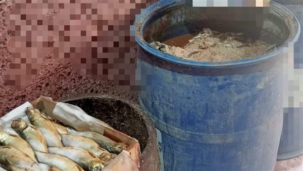 ضبط فسيخ ورنجة غير