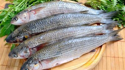 خبير تغذية يكشف طريقة تنظيف الجسم من الأملاح بعد أكل الرنجة والفسيخ