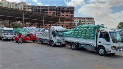 التموين: توريد 1.8 مليون طن قمح محلي حتى الآن.. وصرف المستحقات يتم خلال 48 ساعة