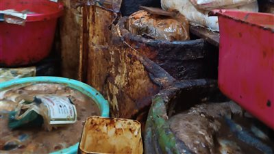 خلال شم النسيم.. التموين: ضبط 6 أطنان رنجة ولحوم فاسدة