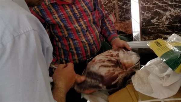 حملات تفتيشية بالمنيا