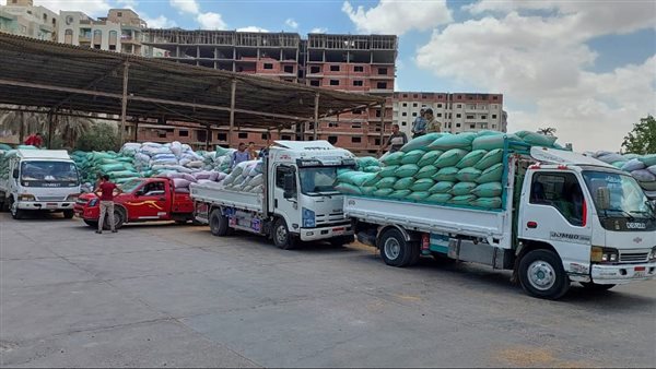 توريد القمح