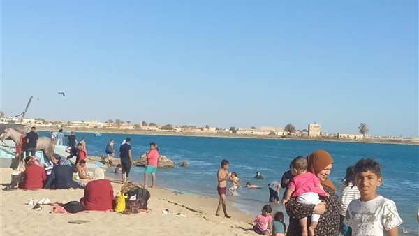 شواطىء طور سيناء