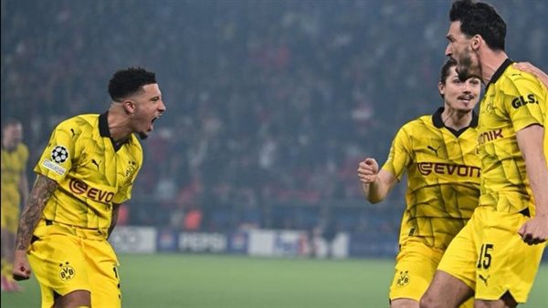 فريق بوروسيا دورتموند