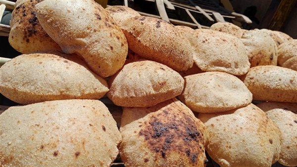 تموين الأقصر تحرر