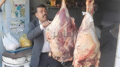 ضبط 167 مخالفة متنوعة في حملات على المخابز البلدية والأسواق بالمنيا