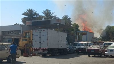 السيطرة على حريق اندلع في أشجار نخيل بأسوان 