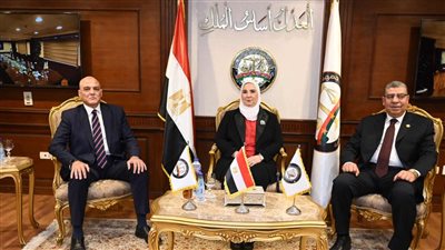 التضامن تعلن منح الضبطية القضائية لـ عاملين بالوزارة والمديريات قريبًا