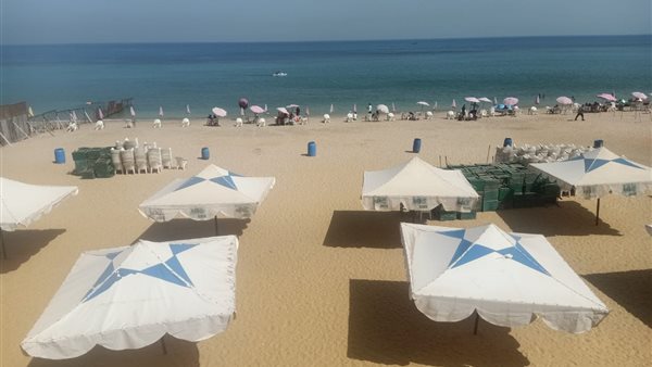 الإسكندرية 