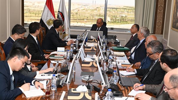 وزير قطاع الأعمال