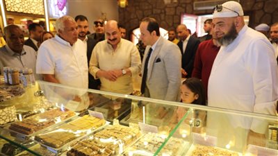 للاستثمار في 3.3 مليون نخلة.. افتتاح معرض منتجات التمور بأسوان