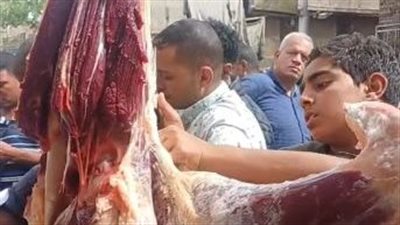 إقبال على شراء لحم النعام بسوق الجمعة والكيلو بـ400 جنيه.. وفراخ اليوكوهاما واللامبورجيني بـ30 ألفا | بث مباشر 