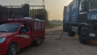 شون وصوامع البحيرة تستقبل 147018 طن قمح