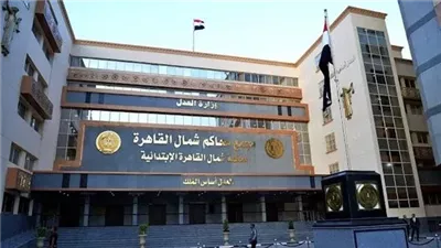 اليوم.. محاكمة عاطل بتهمة قتل ابن زوجته العرفية في السلام