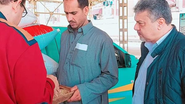 توريد القمح ببورسعيد