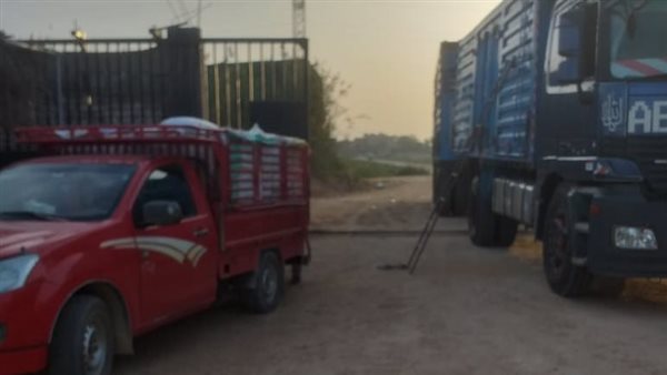 توريد محصول القمح