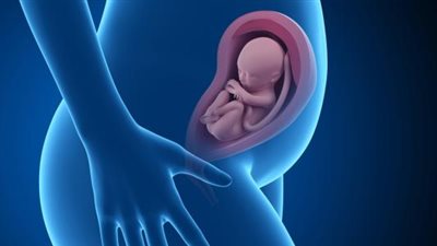 30 طفل يولد بعيوب خلقية في الولايات المتحدة..تعرف على متلازمة الفنتانيل الجنينية