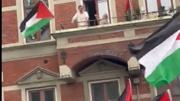 ملك الدنمارك 