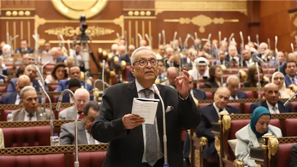 المستشار بهاء أبو