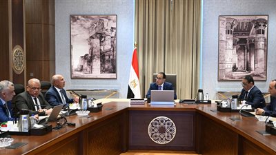 الحكومة: توريد 55 قطارا للخط الأول للمترو.. وبدء الاختبارات نوفمبر المقبل