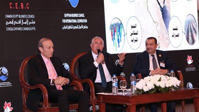 القصير: 90% من القطاع الزراعي يمتلكه القطاع الخاص.. ونصيب الفرد من الأراضي قيراطين فقط