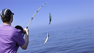 حجم السمكة يفرق.. تفسير حلم صيد السمك بالسنارة للرجل