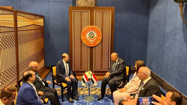 سامح شكري ونظيره