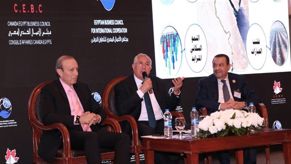 السيد القصير وزير