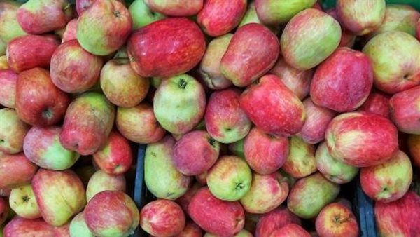 التفاح - أرشيفية