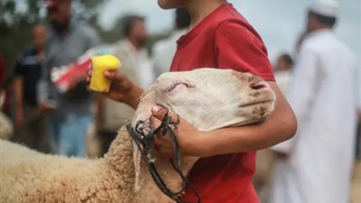 متى عيد الأضحى 2024 العد التنازلي؟