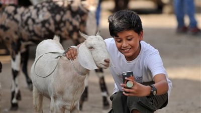 أطول إجازة رسمية | موعد إجازة عيد الأضحى 2024.. بدأ العد التنازلي