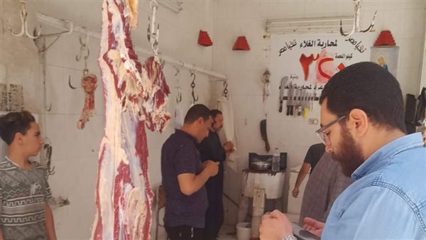 حملات تفتيشية بالمنيا