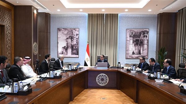 رئيس الوزراء يلتقى