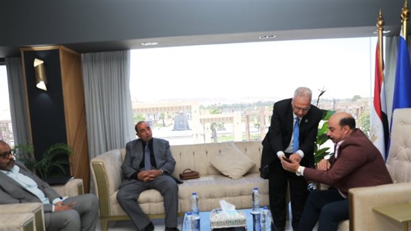 محافظ أسوان