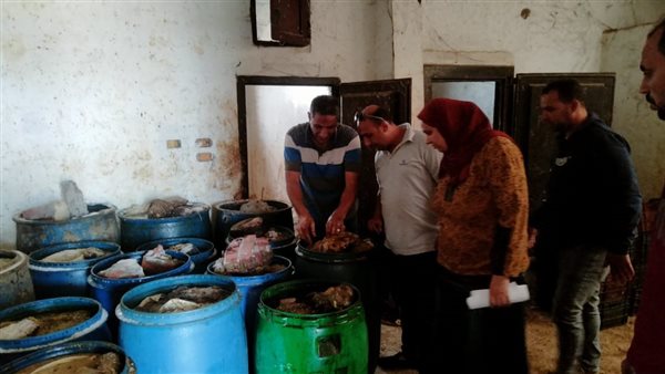  ضبط الأسماك المملحة