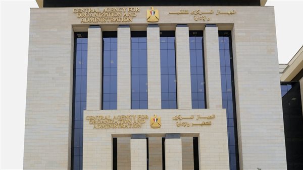  الجهاز المركزي للتنظيم