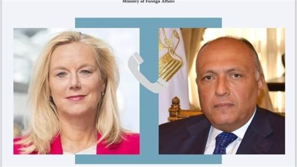 شكري يُجري اتصالًا