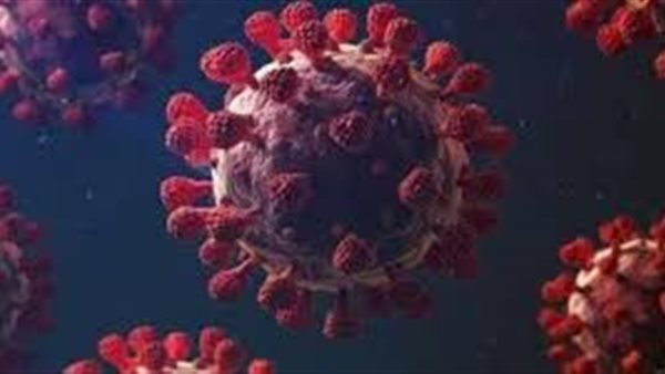 متحور ـ تعبيرية 