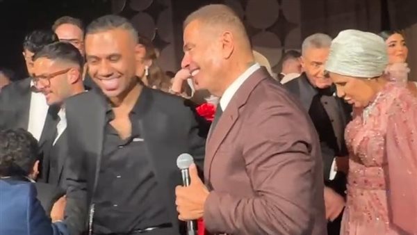 محمود المملوك والهضبة