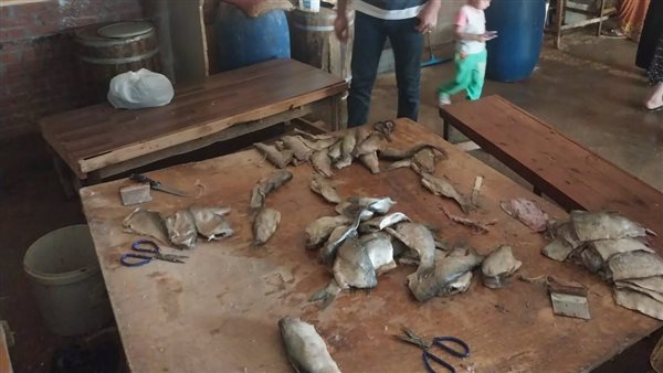 جانب من الأسماك المملحة