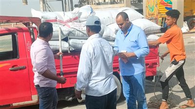 توريد 196 ألف طن قمح لشون وصوامع البحيرة