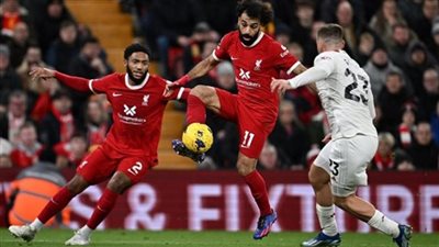 ليفربول ينافس باريس سان جيرمان على جناح هولندا