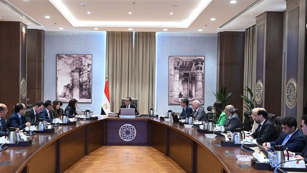 مجلس الوزراء