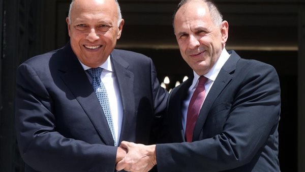 وزير الخارجية المصري