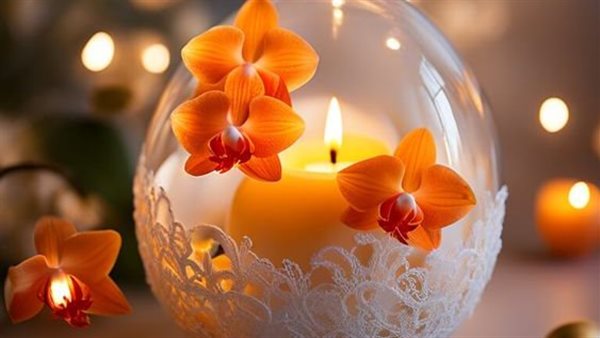 خلفيات الشاشة 