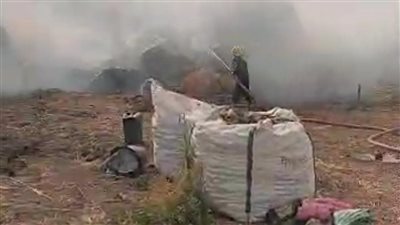 القش تحول لأكوام نيران.. حرارة الجو تشعل حريقا في أرض زراعية بالغربية | صور