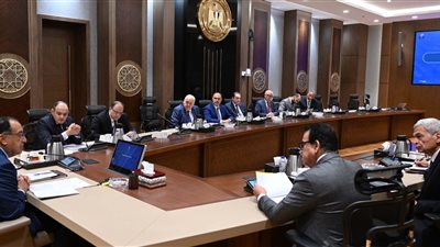 الحكومة: نصدر أدوية لـ64 دولة.. و700 مليون دولار إيرادات من مستحضرات التجميل